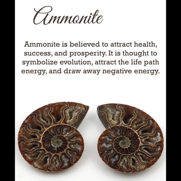 Ocean Jasper & Ammonite Bracelet & Pendent Set - Picture 8 of 8